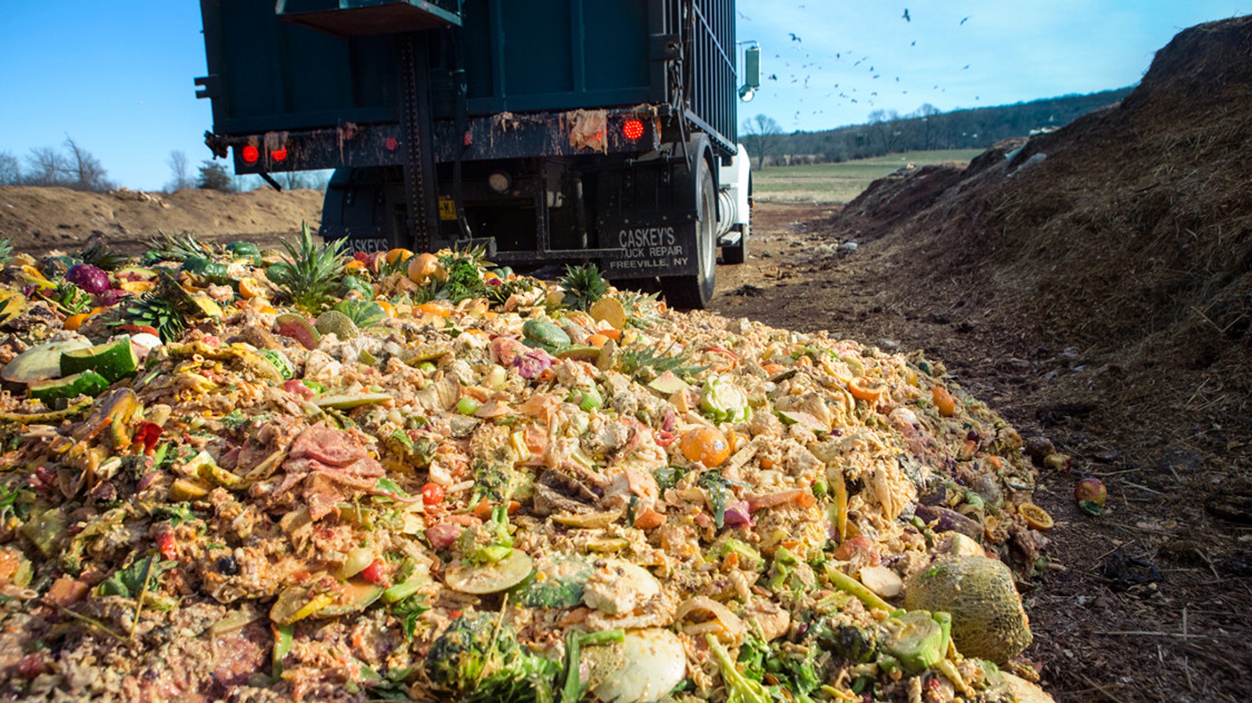 Benefits & Disadvantages of Placing Food Waste in Landfills